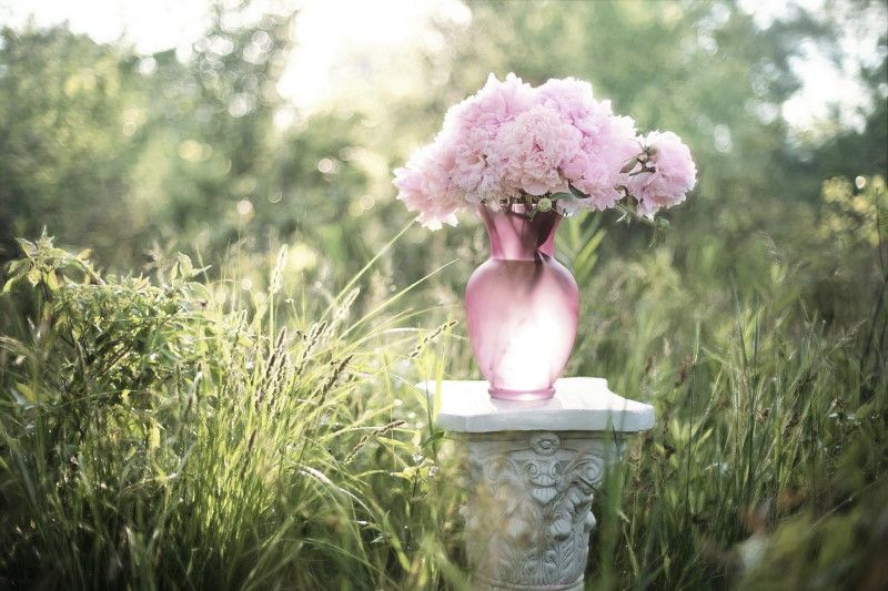 picture of a vase of flowers in a field